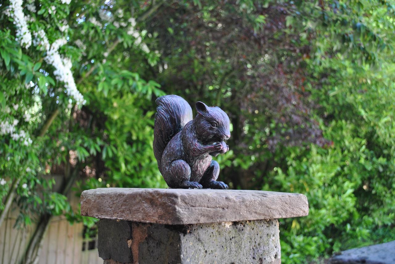 Squirrel Barn Βίλα Milwich Εξωτερικό φωτογραφία